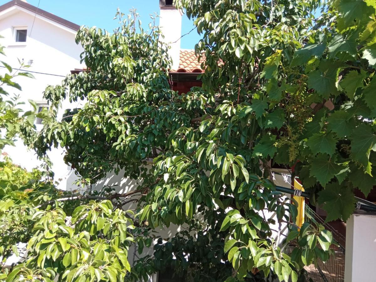 Apartments Antares Mali Lošinj Kültér fotó