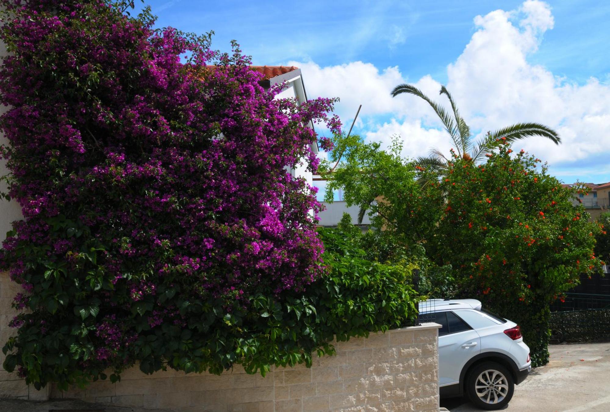 Apartments Antares Mali Lošinj Kültér fotó